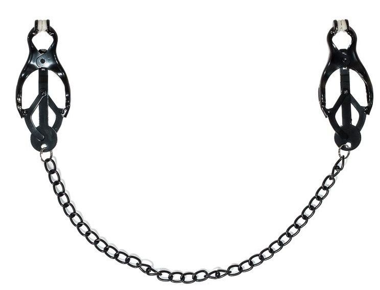 Цепь с карабинами 
