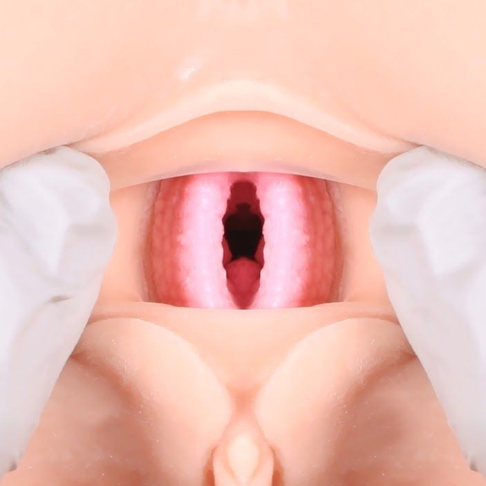 Мастурбатор Полуторс Анус