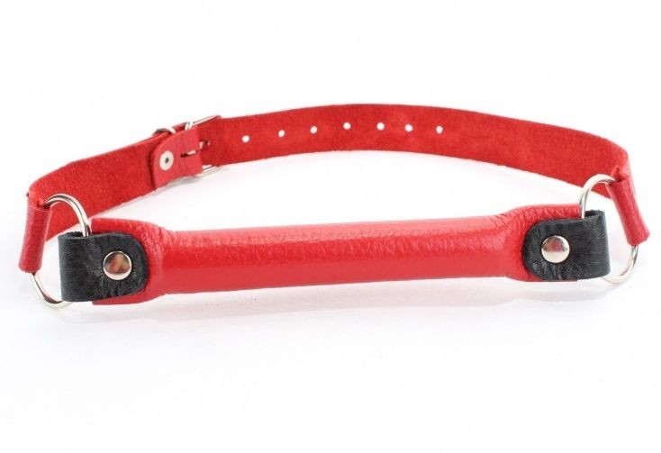 Кляп - трензель  купить со скидкой в секс шопе  Фетиш и BDSM  Кляпы